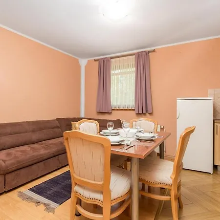 Apartman With A Parking Space Vrbovsko, Gorski Kotar - 20268 *